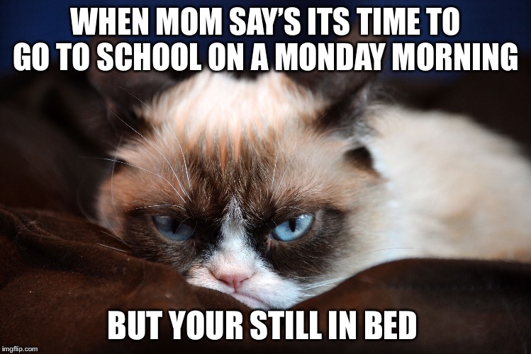 hate monday school