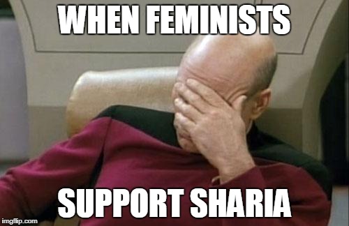 Captain Picard Facepalm Meme | WHEN FEMINISTS; SUPPORT SHARIA | image tagged in captain picard facepalm,sharia,feminism | made w/ Imgflip meme maker