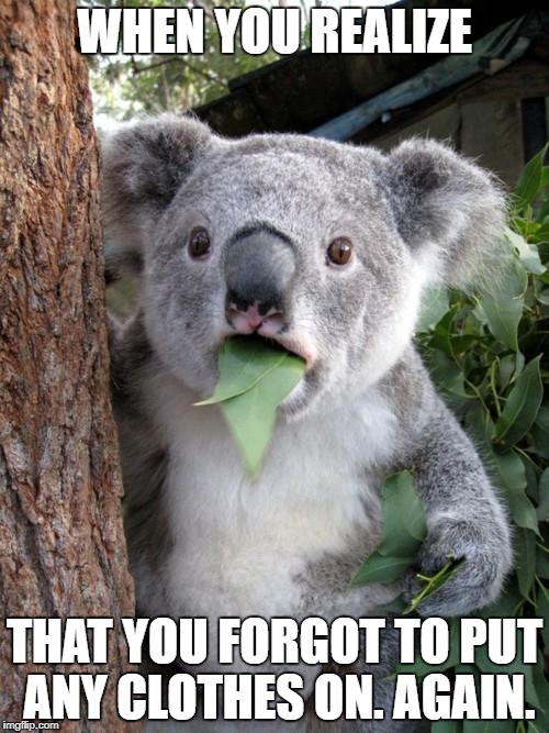 Surprised Koala Meme | WHEN YOU REALIZE; THAT YOU FORGOT TO PUT ANY CLOTHES ON. AGAIN. | image tagged in memes,surprised koala | made w/ Imgflip meme maker
