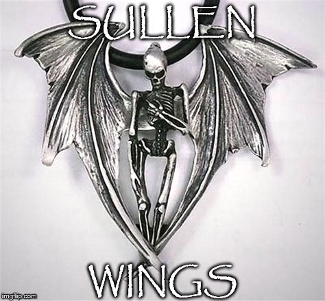 Sullen Wings of Fotune | SULLEN; WINGS | image tagged in sullen wings,jerry garcia,grateful dead | made w/ Imgflip meme maker