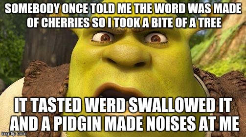 Shrek autism | SOMEBODY ONCE TOLD ME THE WORD WAS MADE OF CHERRIES SO I TOOK A BITE OF A TREE; IT TASTED WERD SWALLOWED IT AND A PIDGIN MADE NOISES AT ME | image tagged in shrek autism | made w/ Imgflip meme maker