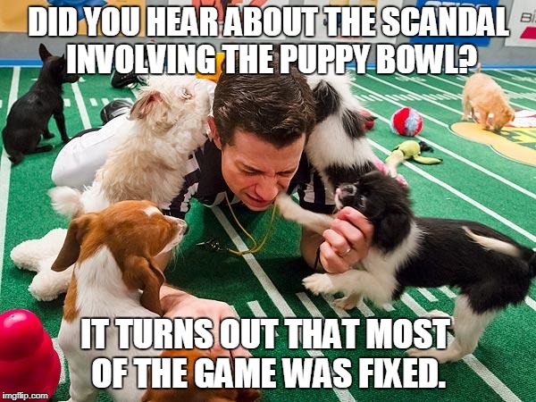 Puppy Bowl scandal - Imgflip