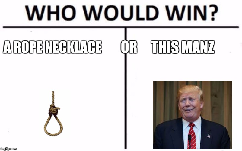 Who Would Win | OR; A ROPE NECKLACE; THIS MANZ | image tagged in memes,who would win,donald trump,trump,noose,necklace | made w/ Imgflip meme maker