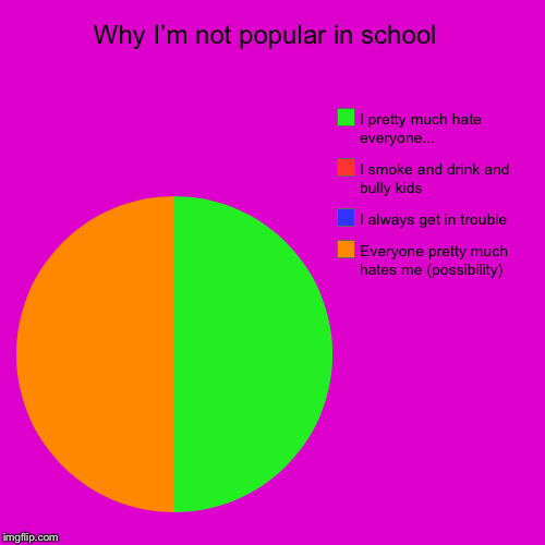 Why I’m not popular in school  | Everyone pretty much hates me (possibility), I always get in trouble, I smoke and drink and bully kids, I p | image tagged in funny,pie charts | made w/ Imgflip chart maker