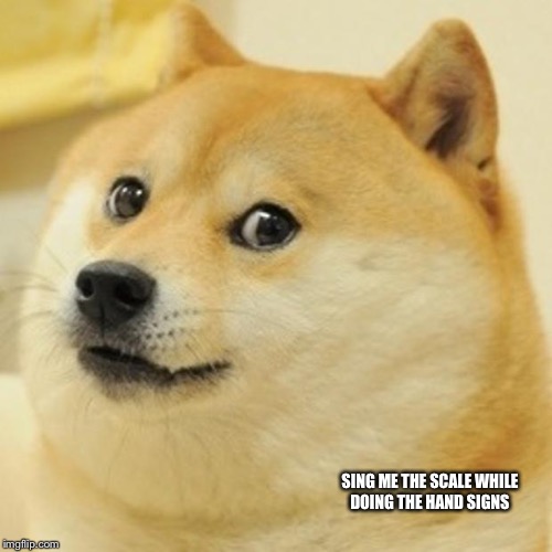 Doge Meme | SING ME THE SCALE WHILE DOING THE HAND SIGNS | image tagged in memes,doge | made w/ Imgflip meme maker