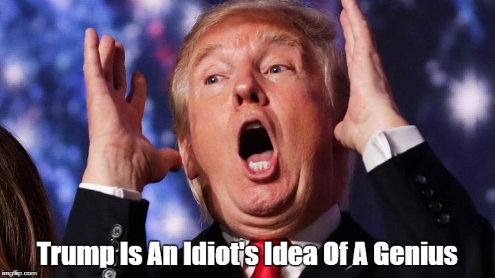 "Trump Is An Idiot's Idea Of A Genius" | Trump Is An Idiot's Idea Of A Genius | image tagged in deplorable donald,despicable donald,detestable donald,devious donald,dishonorable donald,deceitful donald | made w/ Imgflip meme maker