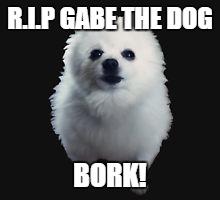 Rest in peace, Gabe. | R.I.P GABE THE DOG; BORK! | image tagged in gabe the dog | made w/ Imgflip meme maker