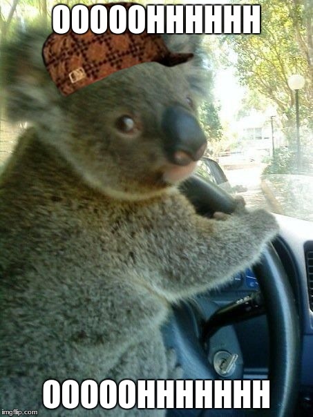 Driving koala  | OOOOOHHHHHH; OOOOOHHHHHHH | image tagged in driving koala,scumbag | made w/ Imgflip meme maker