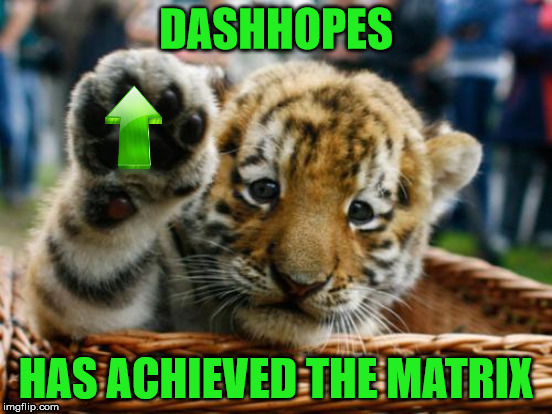 Congrats to DashHopes, the second user ever to unlock the matrix icon, for getting 10 million points :D | DASHHOPES; HAS ACHIEVED THE MATRIX | image tagged in dashhopes,matrix,dashhopes 10 million point icon,10 million points | made w/ Imgflip meme maker