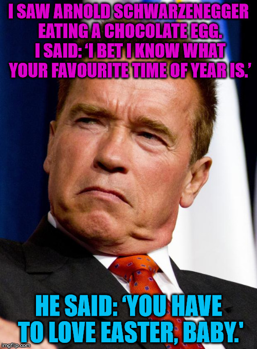 Arnold Schwarzenegger Meme Generator Imgflip