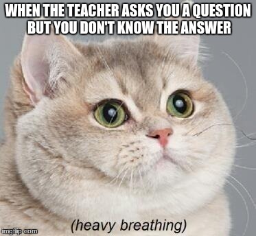 this happens to me all the time | WHEN THE TEACHER ASKS YOU A QUESTION BUT YOU DON'T KNOW THE ANSWER | image tagged in memes,heavy breathing cat,fat cat,funny | made w/ Imgflip meme maker