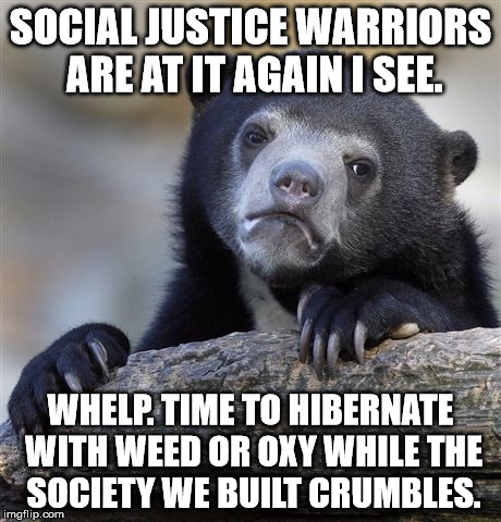 Confession Bear Meme | SOCIAL JUSTICE WARRIORS ARE AT IT AGAIN I SEE. WHELP. TIME TO HIBERNATE WITH WEED OR OXY WHILE THE SOCIETY WE BUILT CRUMBLES. | image tagged in memes,confession bear | made w/ Imgflip meme maker
