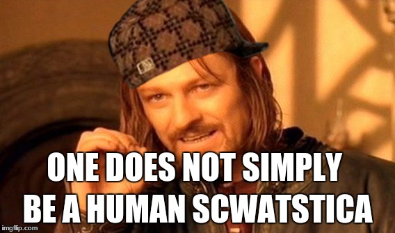 One Does Not Simply Meme | ONE DOES NOT SIMPLY; BE A HUMAN SCWATSTICA | image tagged in memes,one does not simply,scumbag | made w/ Imgflip meme maker