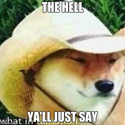 What in tarnation dog | THE HELL; YA'LL JUST SAY | image tagged in what in tarnation dog | made w/ Imgflip meme maker
