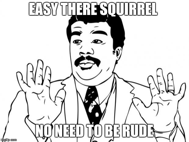 Watch Out, We Got A Bad Ass Over Here | EASY THERE SQUIRREL; NO NEED TO BE RUDE | image tagged in watch out we got a bad ass over here | made w/ Imgflip meme maker