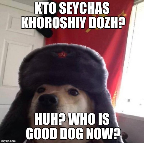 Russian Doge | KTO SEYCHAS KHOROSHIY DOZH? HUH? WHO IS GOOD DOG NOW? | image tagged in russian doge | made w/ Imgflip meme maker