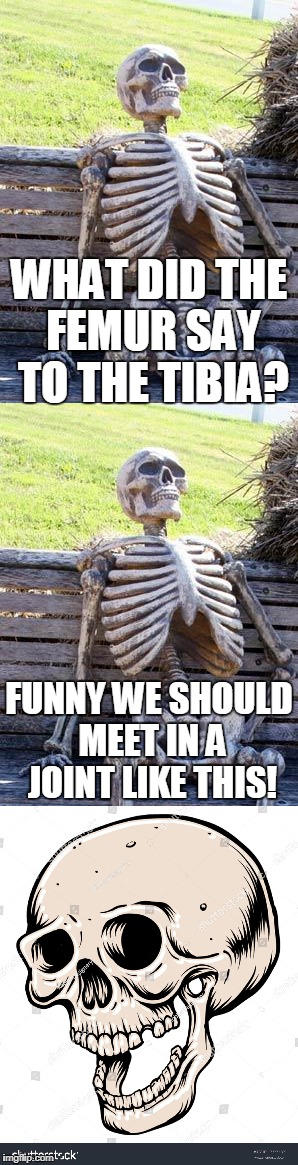 Dad joke skeleton | WHAT DID THE FEMUR SAY TO THE TIBIA? FUNNY WE SHOULD MEET IN A JOINT LIKE THIS! | image tagged in skeleton,funny,dad joke | made w/ Imgflip meme maker