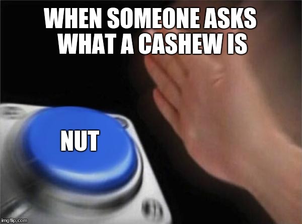 Blank Nut Button Meme | WHEN SOMEONE ASKS WHAT A CASHEW IS; NUT | image tagged in memes,blank nut button | made w/ Imgflip meme maker