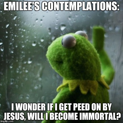 sometimes I wonder  | EMILEE'S CONTEMPLATIONS:; I WONDER IF I GET PEED ON BY JESUS, WILL I BECOME IMMORTAL? | image tagged in sometimes i wonder | made w/ Imgflip meme maker