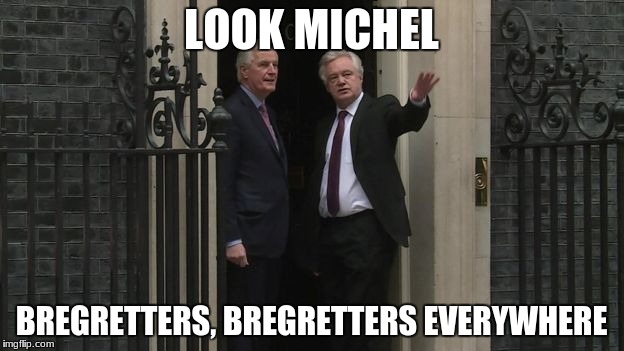 Bregretters | LOOK MICHEL; BREGRETTERS, BREGRETTERS EVERYWHERE | image tagged in brexit | made w/ Imgflip meme maker