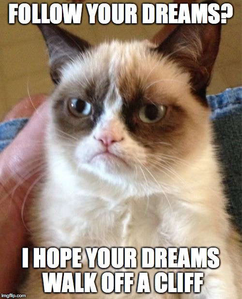 Grumpy Cat | FOLLOW YOUR DREAMS? I HOPE YOUR DREAMS WALK OFF A CLIFF | image tagged in memes,grumpy cat | made w/ Imgflip meme maker