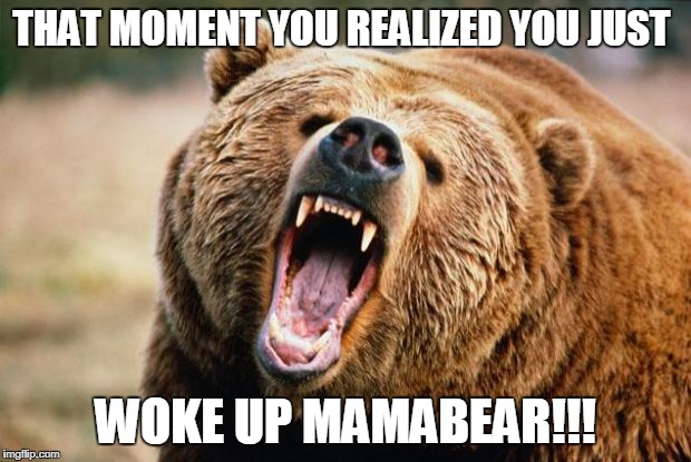 Bear angry | THAT MOMENT YOU REALIZED YOU JUST; WOKE UP MAMABEAR!!! | image tagged in bear angry | made w/ Imgflip meme maker