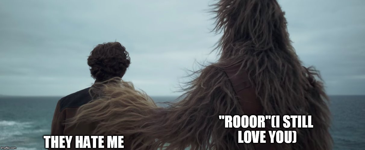 "ROOOR"(I STILL LOVE YOU); THEY HATE ME | image tagged in rippy_101 | made w/ Imgflip meme maker
