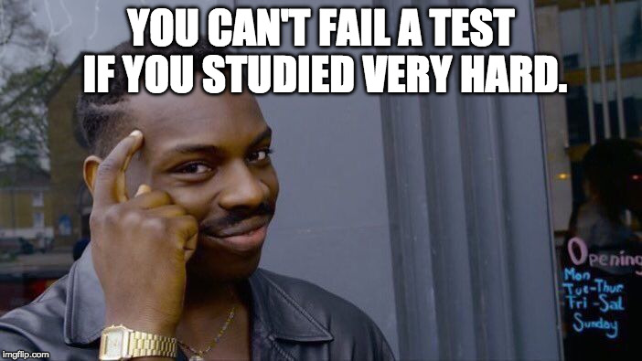 Roll Safe Think About It | YOU CAN'T FAIL A TEST IF YOU STUDIED VERY HARD. | image tagged in memes,roll safe think about it | made w/ Imgflip meme maker