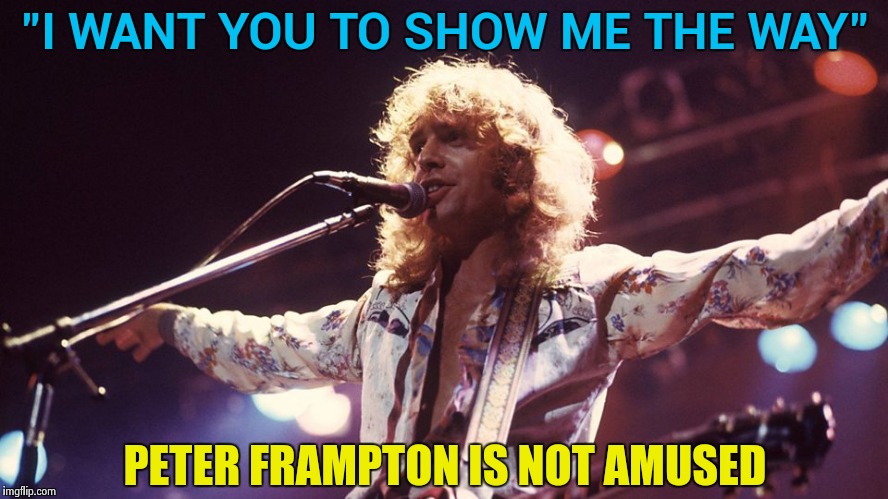 Memes are supposed to be in English not Dumbf**k |  "I WANT YOU TO SHOW ME THE WAY"; PETER FRAMPTON IS NOT AMUSED | image tagged in peter frampton,ugandan knuckles,stop,stupid,shit | made w/ Imgflip meme maker