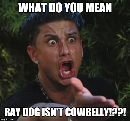 Ray dog doesn't even know cowbelly | WHAT DO YOU MEAN; RAY DOG ISN'T COWBELLY!??! | image tagged in memes,dj pauly d | made w/ Imgflip meme maker