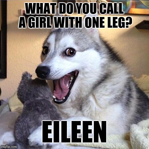 bad pun dog | WHAT DO YOU CALL A GIRL WITH ONE LEG? EILEEN | image tagged in bad pun dog | made w/ Imgflip meme maker