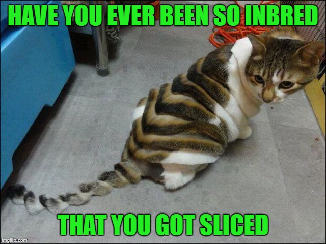 HAVE YOU EVER BEEN SO INBRED THAT YOU GOT SLICED | made w/ Imgflip meme maker