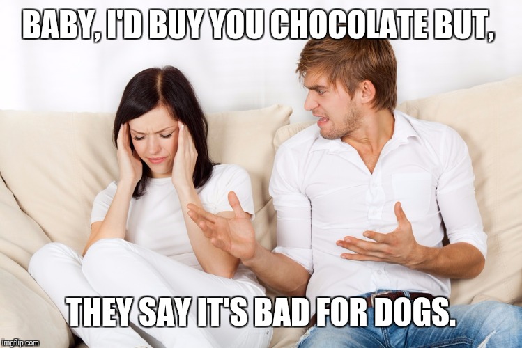 How to start a fight on Valentine's day | BABY, I'D BUY YOU CHOCOLATE BUT, THEY SAY IT'S BAD FOR DOGS. | image tagged in couple fighting,memes,valentine's day | made w/ Imgflip meme maker