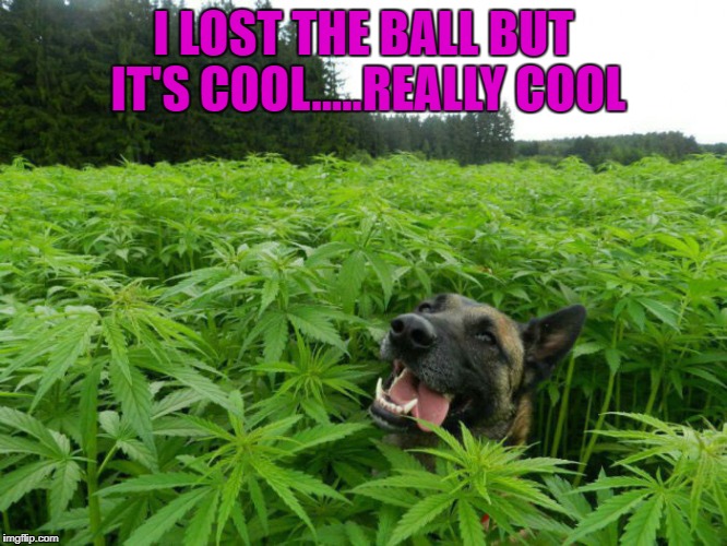 I LOST THE BALL BUT IT'S COOL.....REALLY COOL | made w/ Imgflip meme maker