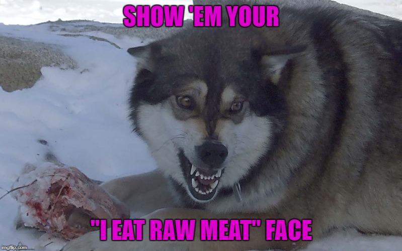 SHOW 'EM YOUR "I EAT RAW MEAT" FACE | made w/ Imgflip meme maker