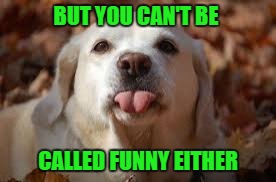 BUT YOU CAN'T BE CALLED FUNNY EITHER | made w/ Imgflip meme maker