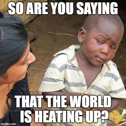 Third World Skeptical Kid Meme | SO ARE YOU SAYING; THAT THE WORLD IS HEATING UP? | image tagged in memes,third world skeptical kid | made w/ Imgflip meme maker