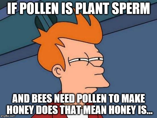 I saw forceful's pollen is plant sperm meme and it got me thinking. | IF POLLEN IS PLANT SPERM; AND BEES NEED POLLEN TO MAKE HONEY DOES THAT MEAN HONEY IS... | image tagged in memes,futurama fry | made w/ Imgflip meme maker