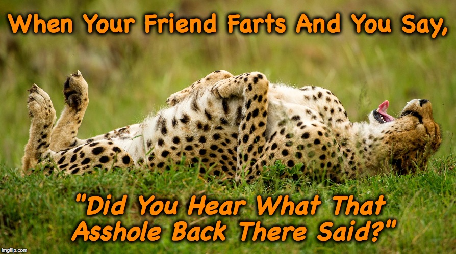 One Way To Prank A Buddy :-) | When Your Friend Farts And You Say, "Did You Hear What That Asshole Back There Said?" | image tagged in snappy comebacks | made w/ Imgflip meme maker