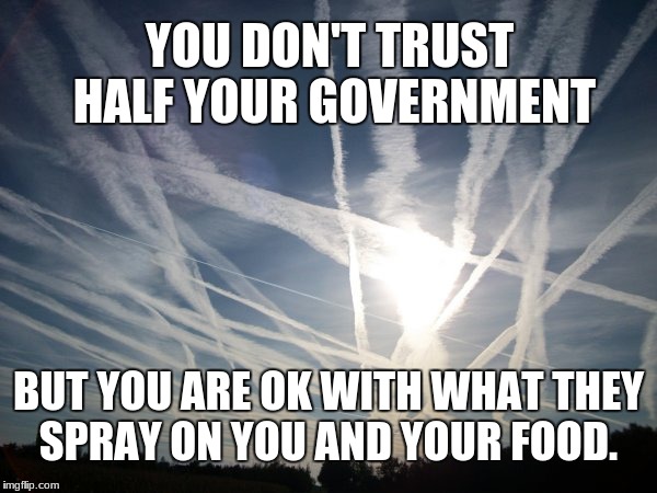 chemtrail | YOU DON'T TRUST HALF YOUR GOVERNMENT; BUT YOU ARE OK WITH WHAT THEY SPRAY ON YOU AND YOUR FOOD. | image tagged in chemtrail | made w/ Imgflip meme maker