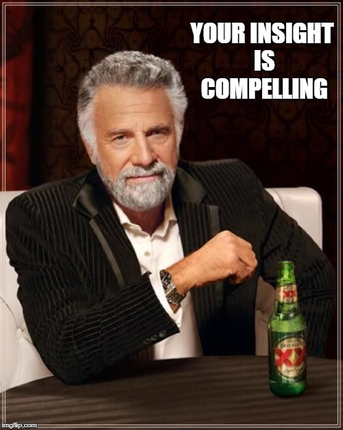 The Most Interesting Man In The World Meme | YOUR INSIGHT IS COMPELLING | image tagged in memes,the most interesting man in the world | made w/ Imgflip meme maker