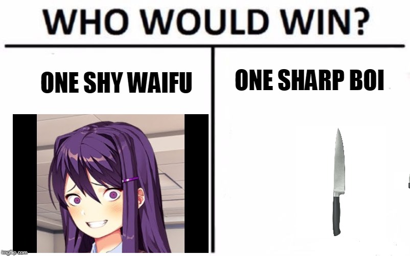Who Would Win? | ONE SHY WAIFU; ONE SHARP BOI | image tagged in memes,who would win | made w/ Imgflip meme maker