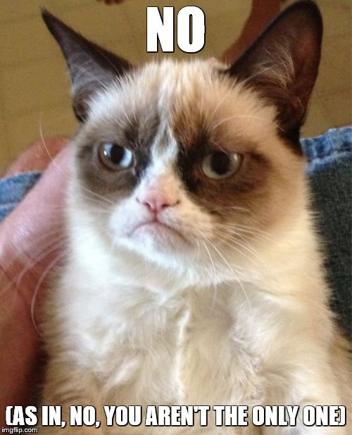 Grumpy Cat Meme | NO (AS IN, NO, YOU AREN'T THE ONLY ONE) | image tagged in memes,grumpy cat | made w/ Imgflip meme maker