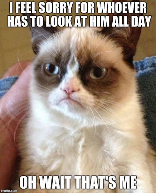 Grumpy Cat | I FEEL SORRY FOR WHOEVER HAS TO LOOK AT HIM ALL DAY; OH WAIT THAT'S ME | image tagged in memes,grumpy cat | made w/ Imgflip meme maker