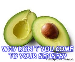 WHY DON'T YOU COME TO YOUR SENSES? | image tagged in avocado | made w/ Imgflip meme maker