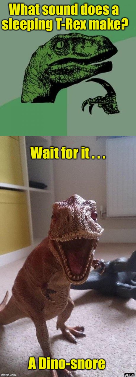 Prehistoric Pun | What sound does a sleeping T-Rex make? Wait for it . . . A Dino-snore | image tagged in memes,philosoraptor,t-rex,bad puns,bad pun,dinosaur | made w/ Imgflip meme maker