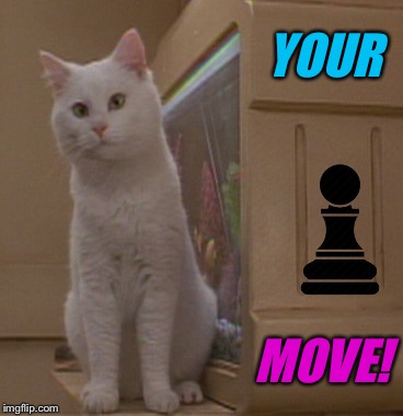 YOUR MOVE! | made w/ Imgflip meme maker