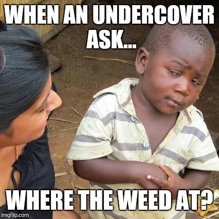 Third World Skeptical Kid Meme | WHEN AN UNDERCOVER ASK... WHERE THE WEED AT? | image tagged in memes,third world skeptical kid | made w/ Imgflip meme maker