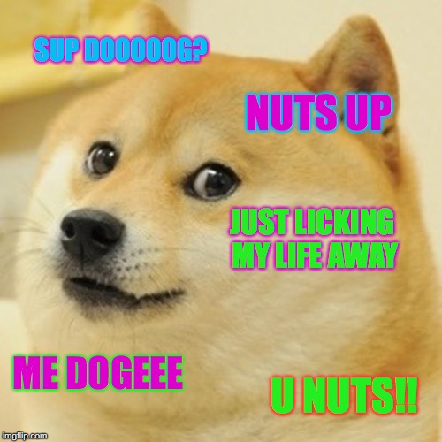 Doge Meme | SUP DOOOOOG? NUTS UP; JUST LICKING MY LIFE AWAY; ME DOGEEE; U NUTS!! | image tagged in memes,doge | made w/ Imgflip meme maker