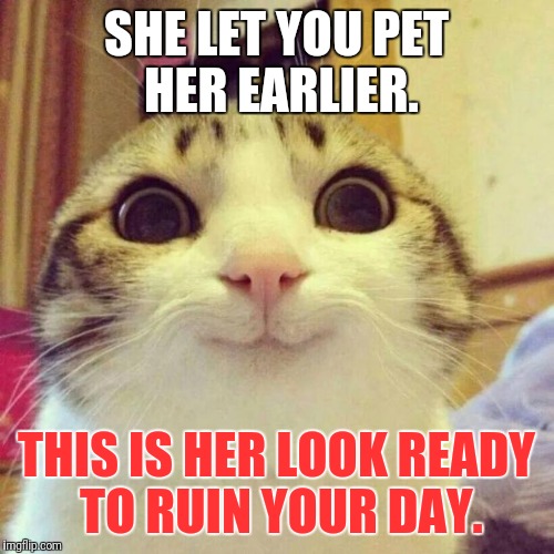 Smiling Cat Meme | SHE LET YOU PET HER EARLIER. THIS IS HER LOOK READY TO RUIN YOUR DAY. | image tagged in memes,smiling cat | made w/ Imgflip meme maker